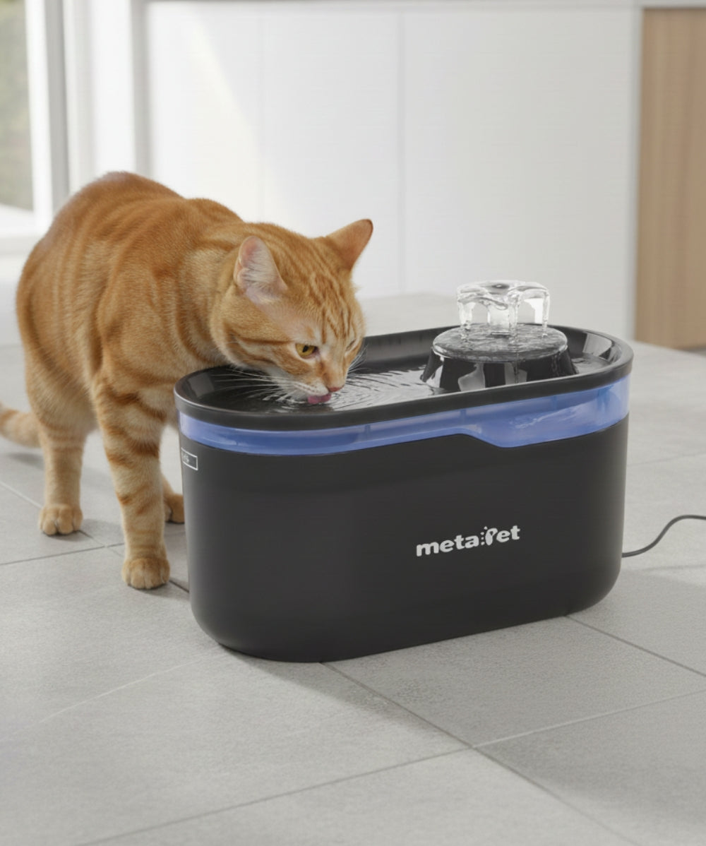 Máy lọc nước cho thú cưng