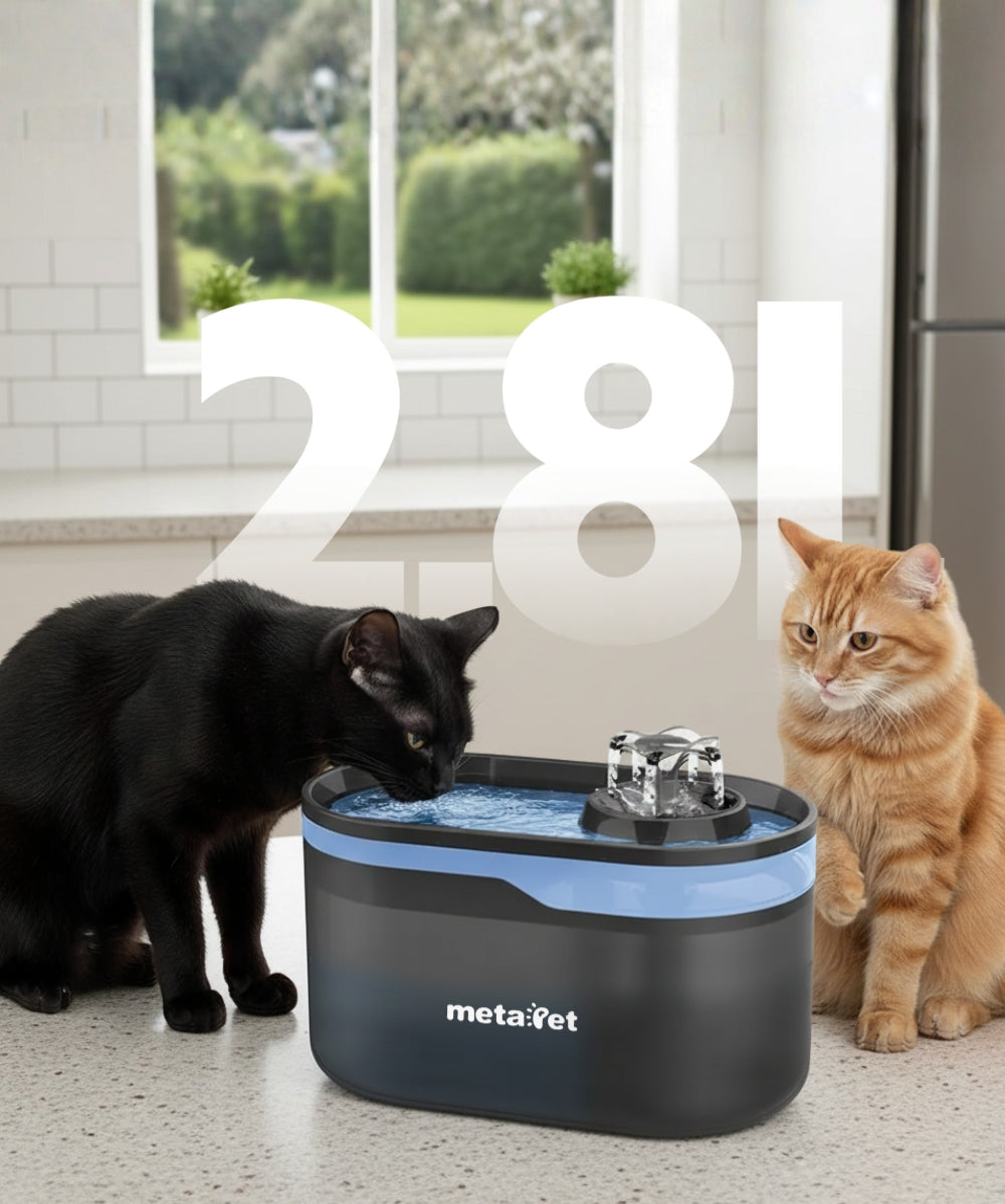 Máy Lọc Nước Cho Thú Cưng metaPet MIO 2800