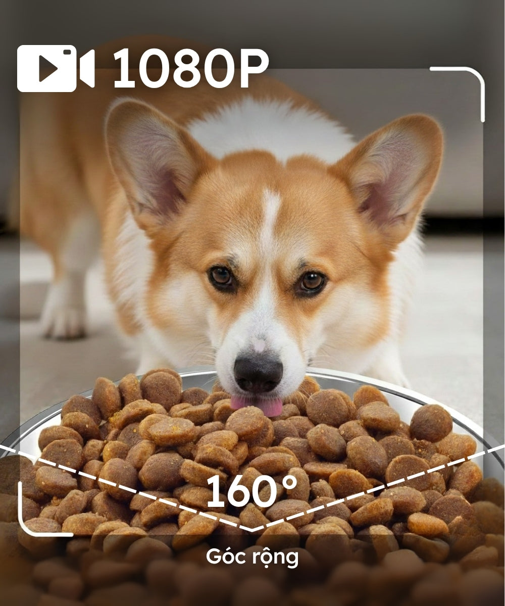 Máy Cho Thú Cưng Ăn Tự Động Thông Minh metaPet PRIMO 500 Pro