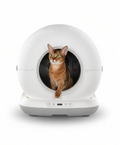 Máy Dọn Vệ Sinh Tự Động Cho Mèo METAPET ASTRA 7200 XP