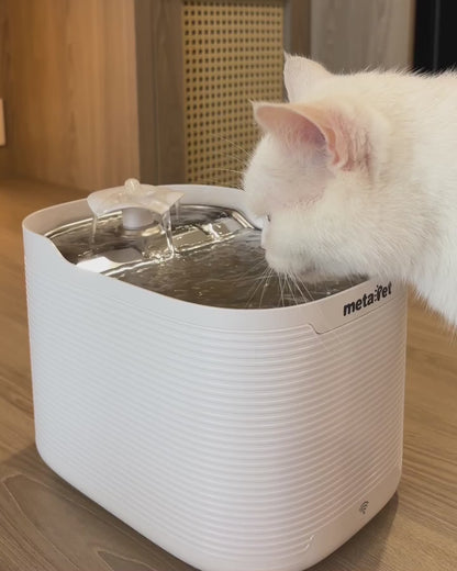 Máy Lọc Nước Cho Thú Cưng metaPet FLORA 2500